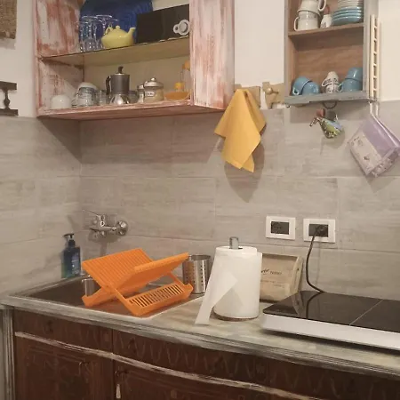 Apartment Colored Tiny House *