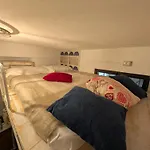 Colored Tiny House *